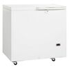 Ларь морозильный Tefcold SE20-45 лабораторный