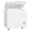 Ларь морозильный Tefcold SE20-45 лабораторный