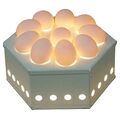 Овоскоп Iterma EGG10