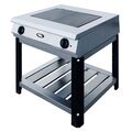 Плита электрическая Grill Master Ф2ЖТЛПЭ (24010) с 2-мя конфорками на подставке