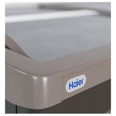 Ларь-бонета морозильная Haier GTS2500G (серый)