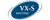 VX-S / Вистекс