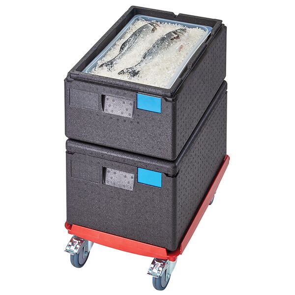Термоконтейнер Cambro EPP160 110